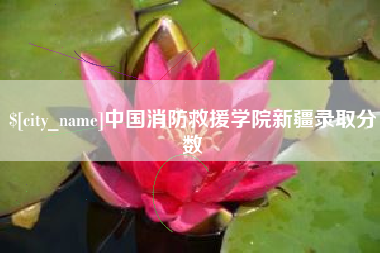 邵阳中国消防救援学院新疆录取分数