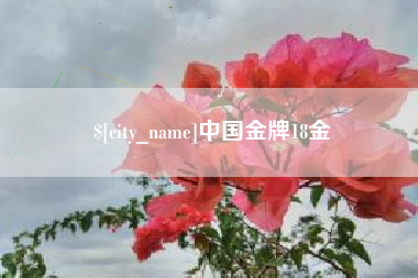 邵阳中国金牌18金