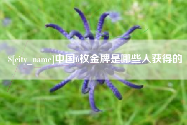 邵阳中国6枚金牌是哪些人获得的
