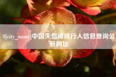 邵阳中国失信被执行人信息查询公开网址