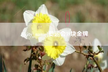 邵阳奥运会39块金牌