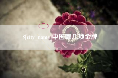 邵阳中国哪几项金牌
