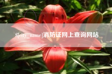 邵阳消防证网上查询网站