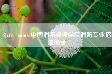 邵阳中国消防救援学院消防专业招生简章