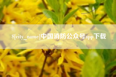 邵阳中国消防公众号app下载