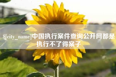 邵阳中国执行案件查询公开网都是执行不了得案子