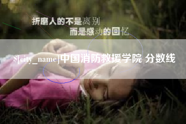 邵阳中国消防救援学院 分数线
