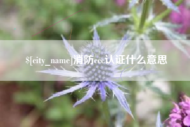 邵阳消防ccc认证什么意思