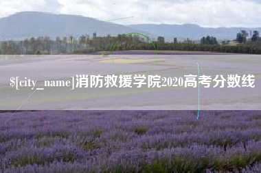 邵阳消防救援学院2020高考分数线