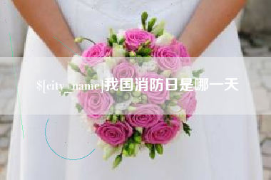 邵阳我国消防日是哪一天