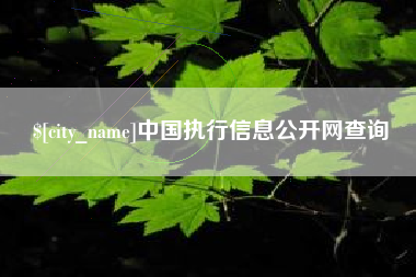 邵阳中国执行信息公开网查询