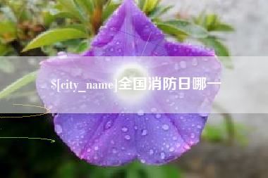 邵阳全国消防日哪一