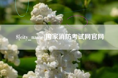 邵阳国家消防考试网官网
