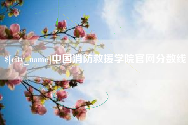 邵阳中国消防救援学院官网分数线