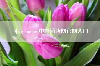 邵阳中国消防网官网入口