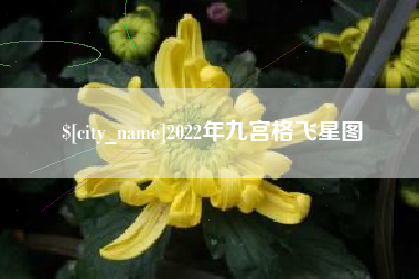 邵阳2022年九宫格飞星图