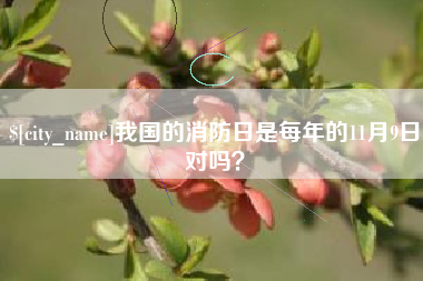 邵阳我国的消防日是每年的11月9日对吗？