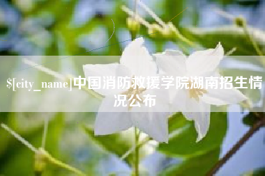 邵阳中国消防救援学院湖南招生情况公布