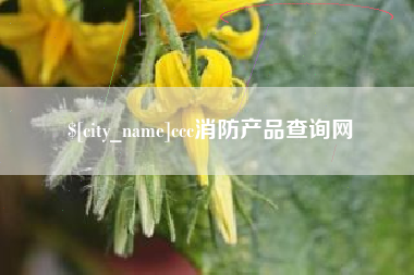 邵阳ccc消防产品查询网