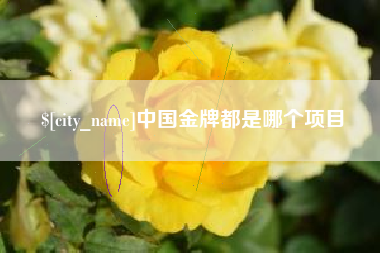 邵阳中国金牌都是哪个项目