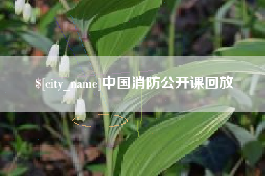 邵阳中国消防公开课回放