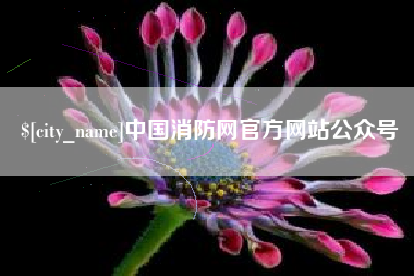 邵阳中国消防网官方网站公众号