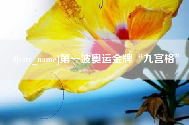 邵阳第一波奥运金牌“九宫格”