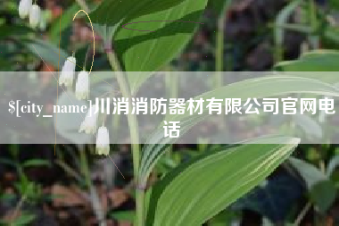 邵阳川消消防器材有限公司官网电话