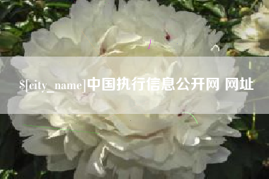 邵阳中国执行信息公开网 网址