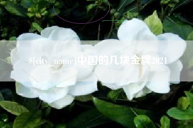 邵阳中国的几块金牌2021
