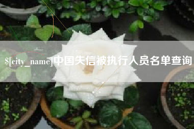 邵阳中国失信被执行人员名单查询