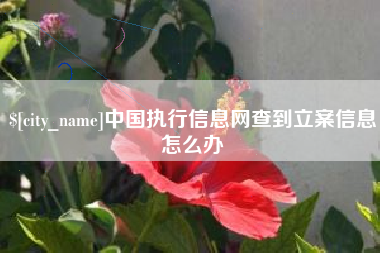 邵阳中国执行信息网查到立案信息怎么办