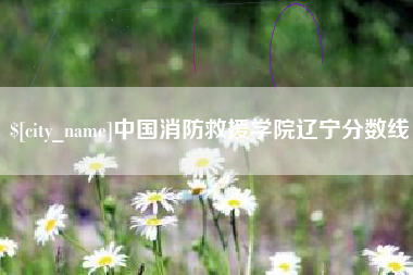 邵阳中国消防救援学院辽宁分数线