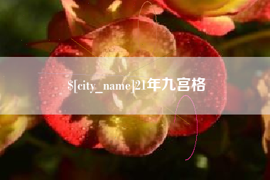 邵阳21年九宫格