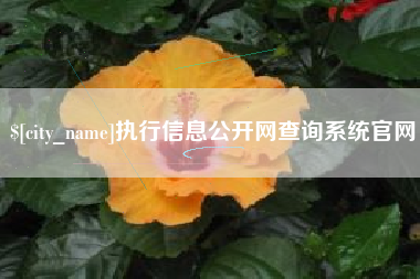 邵阳执行信息公开网查询系统官网