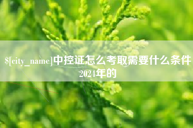 邵阳中控证怎么考取需要什么条件2024年的