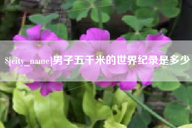 邵阳男子五千米的世界纪录是多少