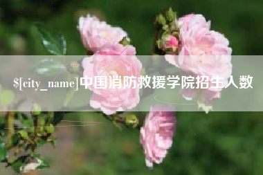 邵阳中国消防救援学院招生人数