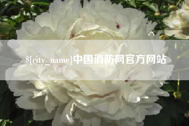 邵阳中国消防网官方网站