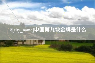 邵阳中国第九块金牌是什么