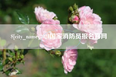 邵阳2021国家消防员报名官网