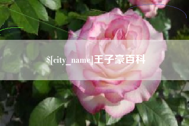邵阳王子豪百科