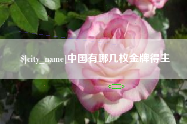 邵阳中国有哪几枚金牌得主