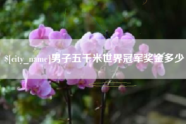 邵阳男子五千米世界冠军奖金多少