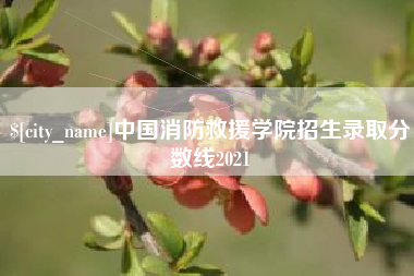 邵阳中国消防救援学院招生录取分数线2021