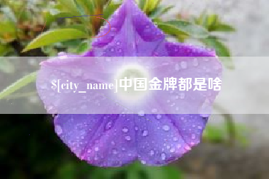 邵阳中国金牌都是啥