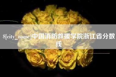 邵阳中国消防救援学院浙江省分数线