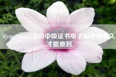 邵阳消防中级证书电子版查询多久才能查到