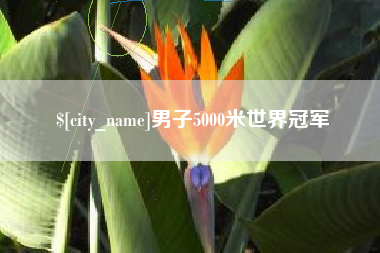 邵阳男子5000米世界冠军