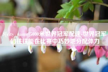 邵阳5000米世界冠军配速-世界冠军们往往能在比赛中巧妙地分配体力